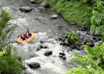 Rafting na rzece Ayung – ekscytująca przygoda na Bali